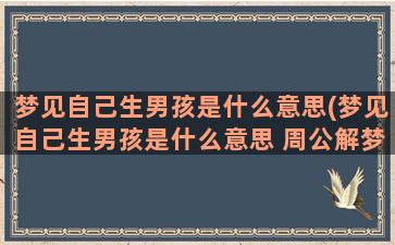 梦见自己生男孩是什么意思(梦见自己生男孩是什么意思 周公解梦)